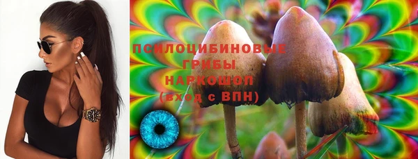 дурь Горняк