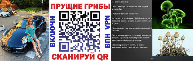 где продают   Красноярск  Галлюциногенные грибы Magic Shrooms 
